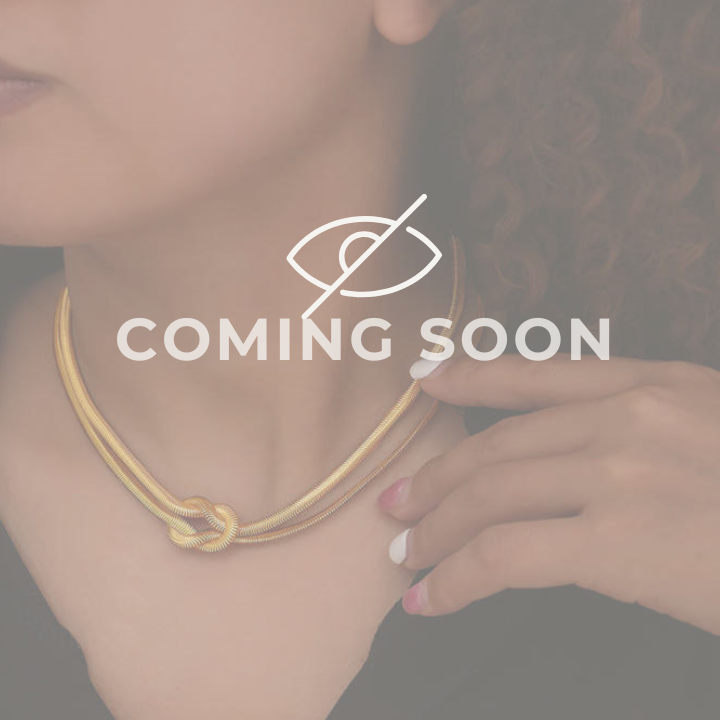 COMING SOON: Bound in Elegance
